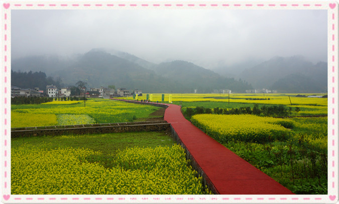 【瓦屋油菜花摄影图片】铜仁市碧江区瓦屋乡风光旅游摄影_太平洋电脑