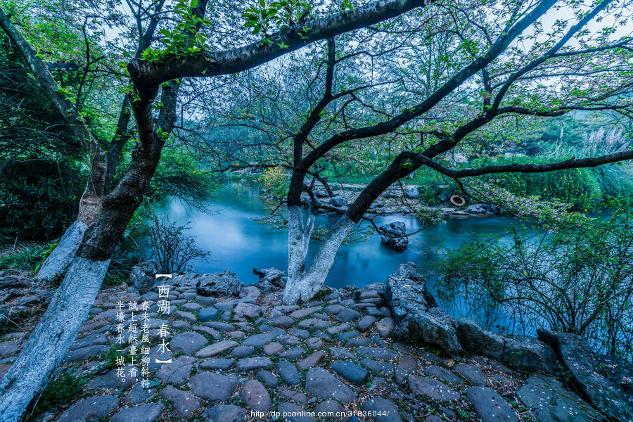 【西湖春水摄影图片】国内摄影_沙鸥视觉_太平洋电脑网摄影部落