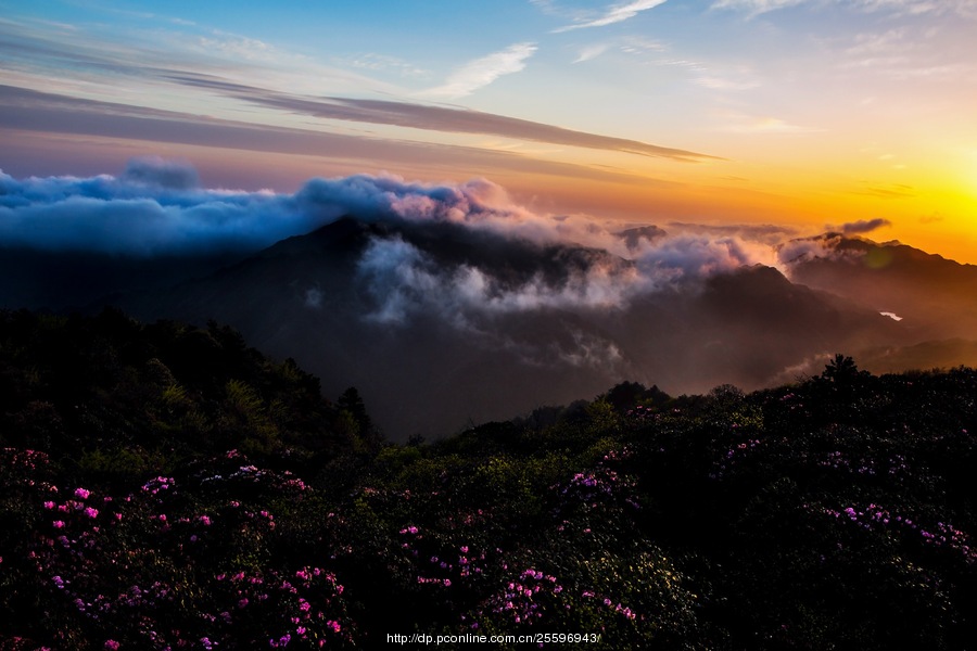 春天的陽明山