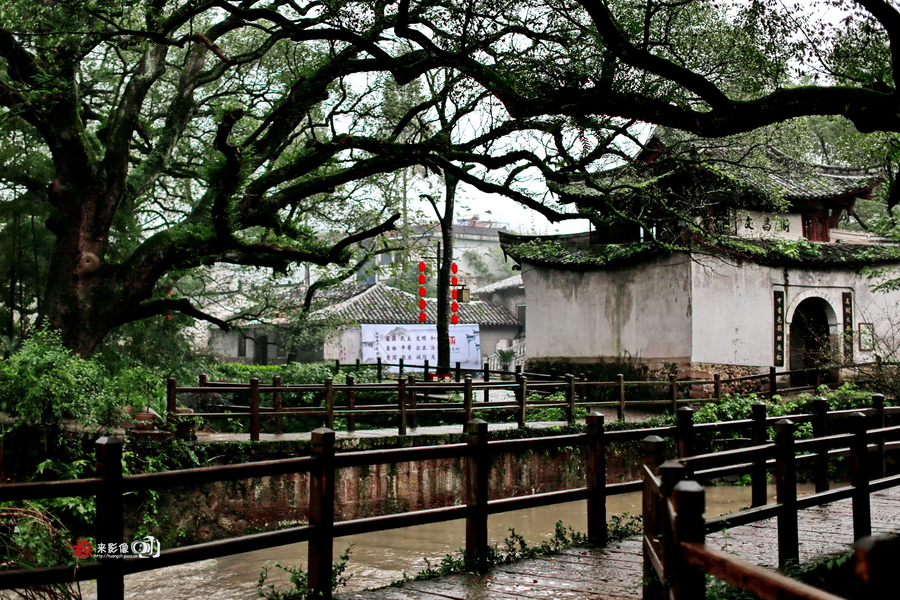 古堰村景-丽水采风记