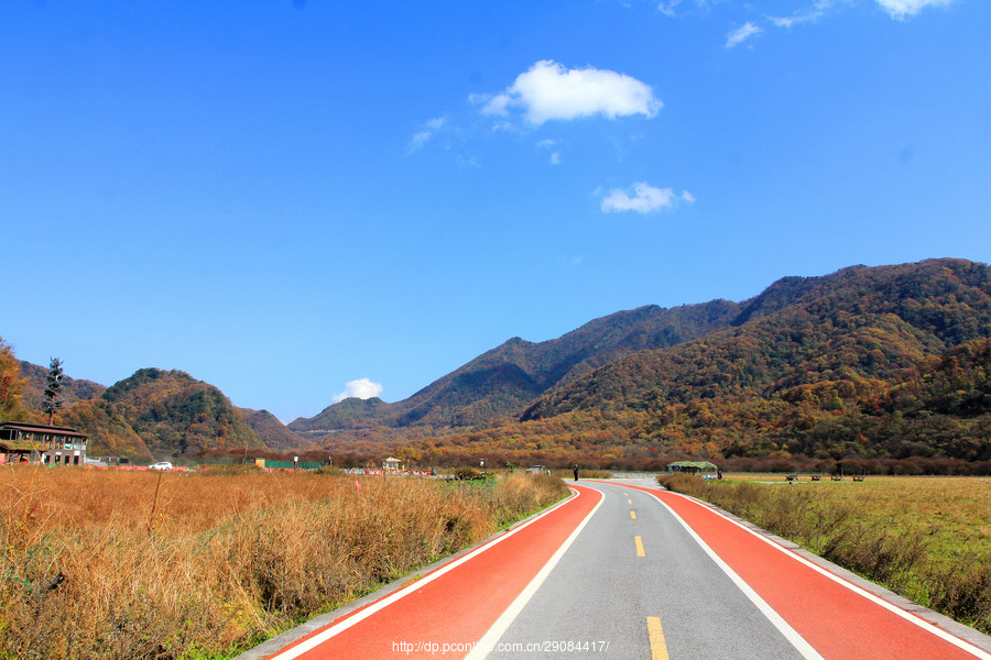 旅拍永遠在路上