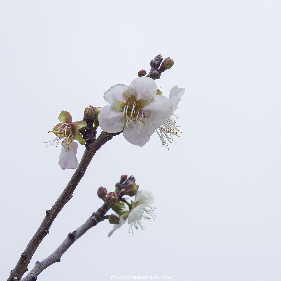 P912017ѩһ