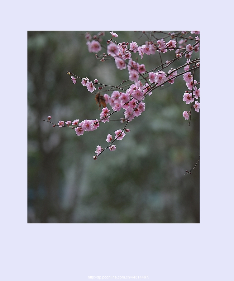 ÷