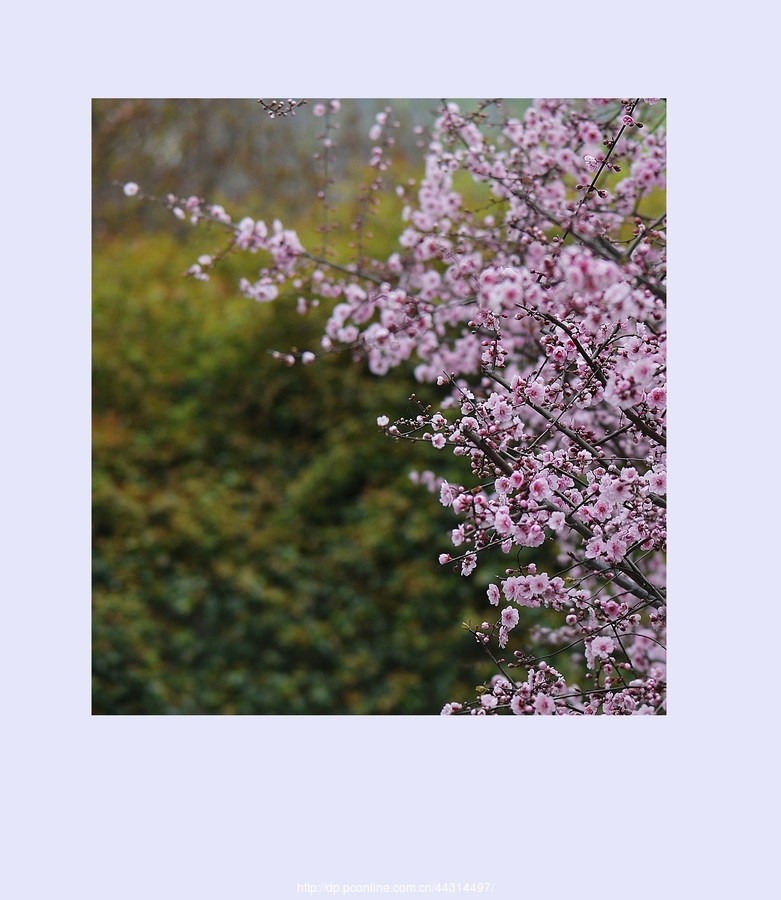 ÷