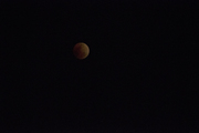 1月31日夜晚的红月亮