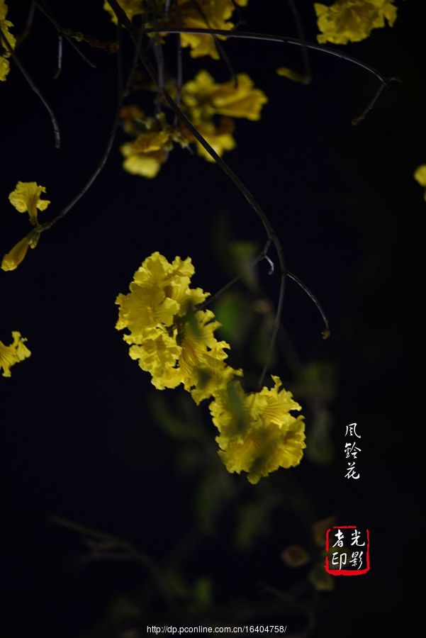 廨紺