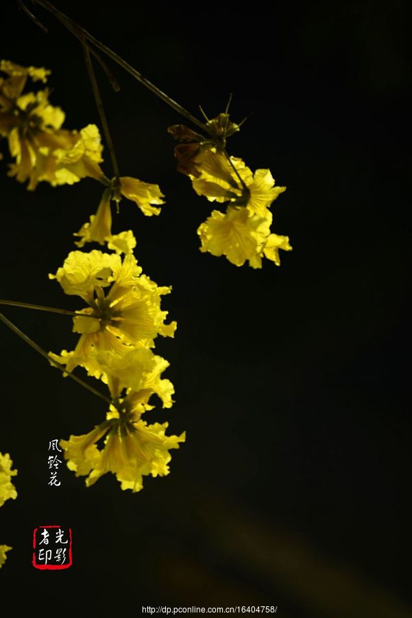 廨紺