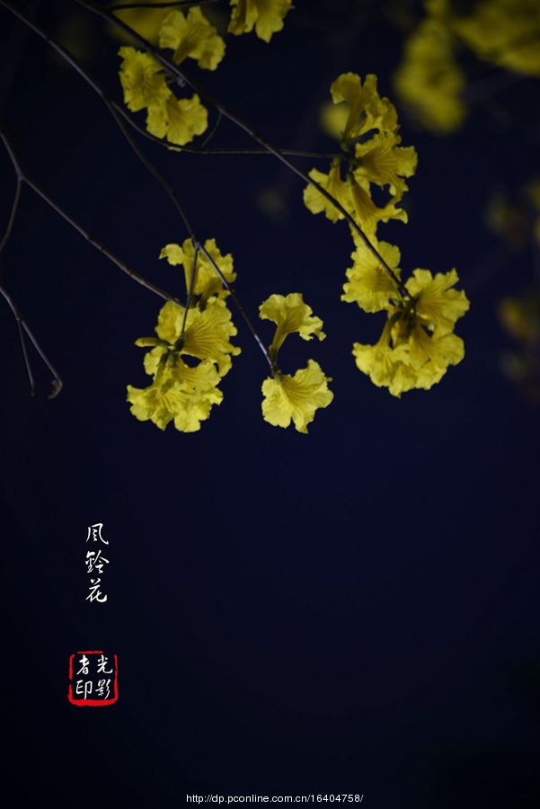 廨紺