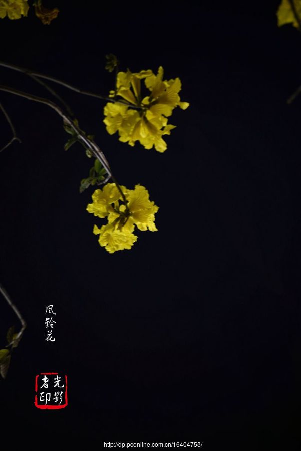 廨紺