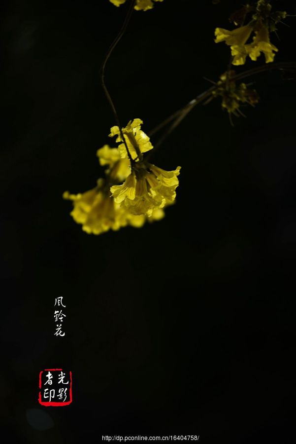 廨紺