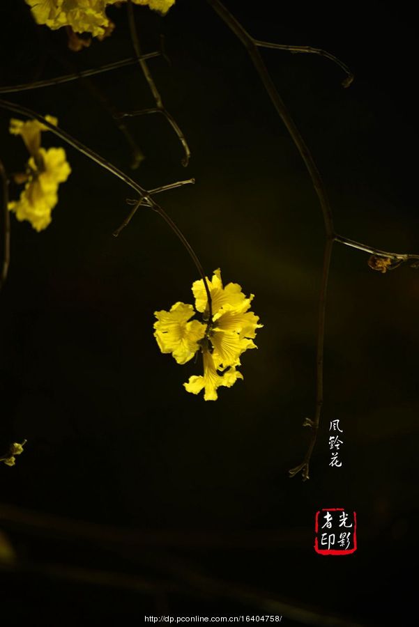 廨紺