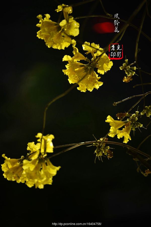 廨紺