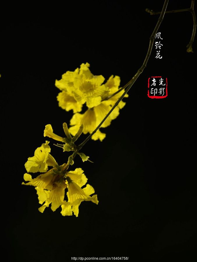 廨紺