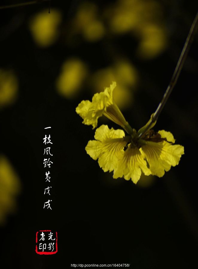 廨紺