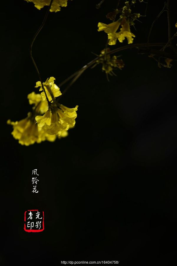 廨紺