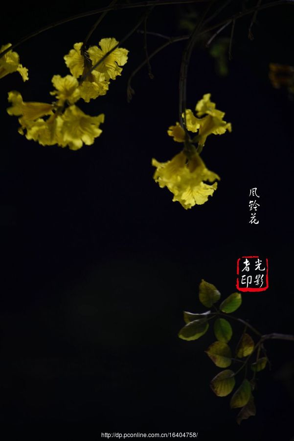 廨紺