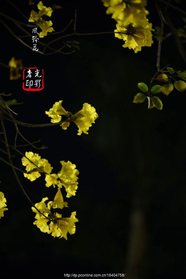 廨紺