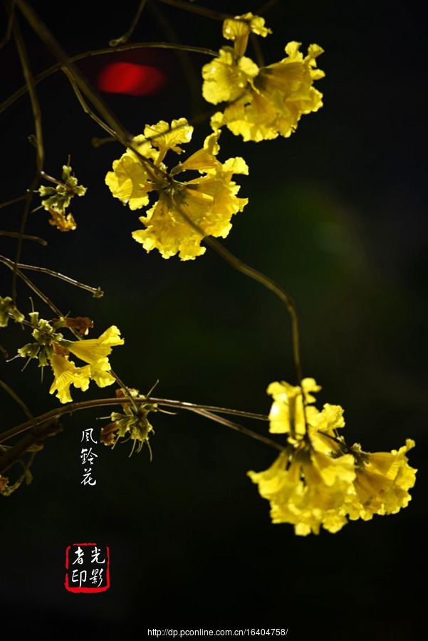 廨紺