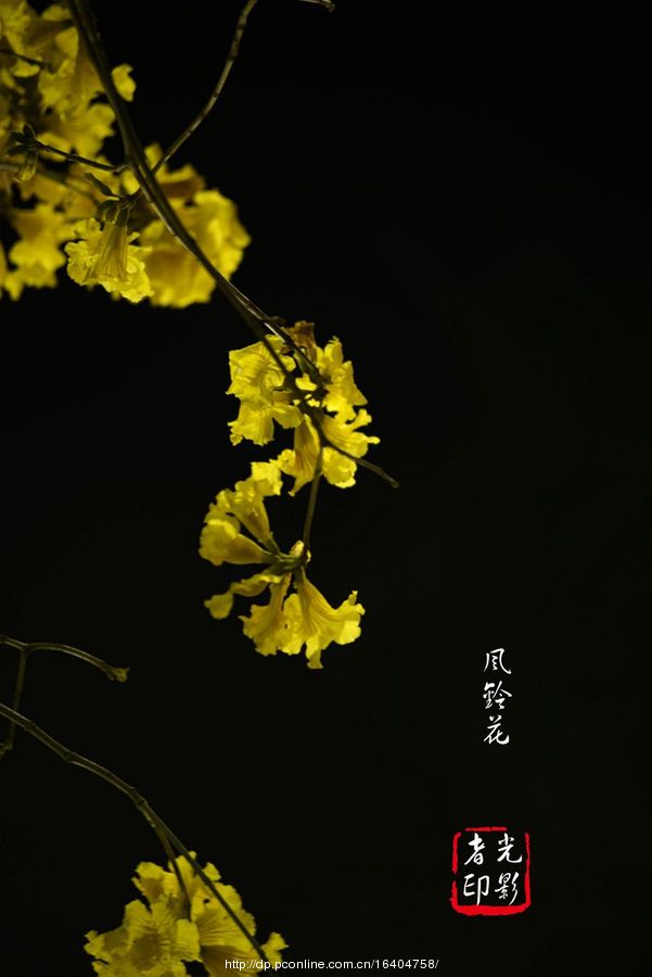 廨紺