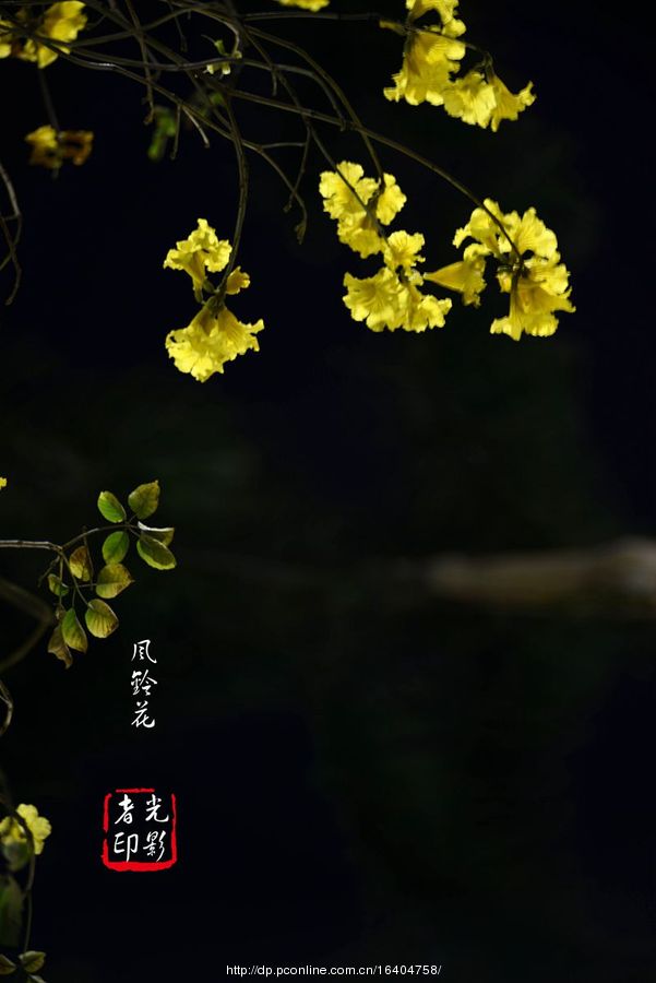 廨紺