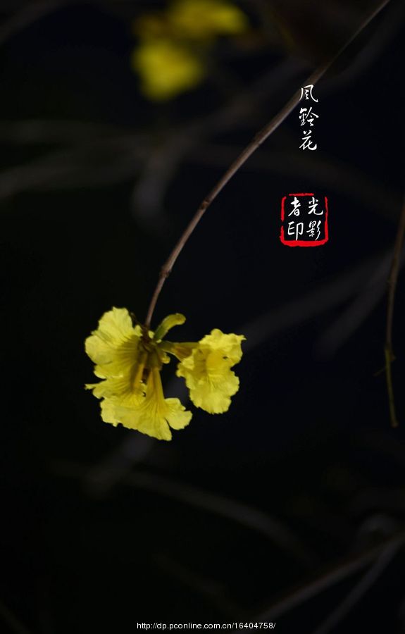 廨紺