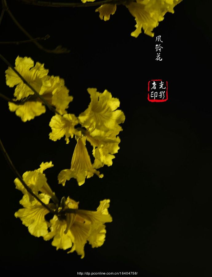 廨紺