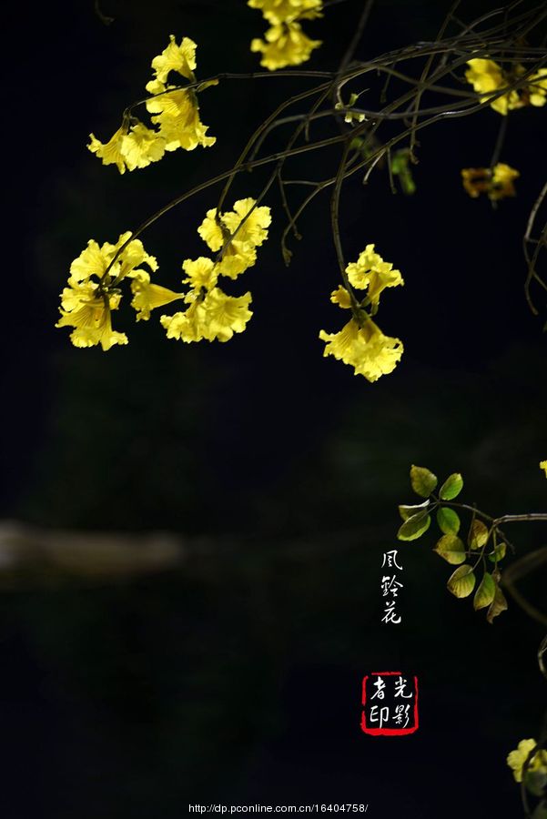 廨紺