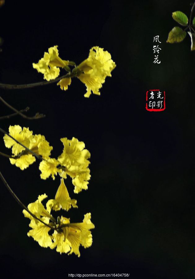 廨紺