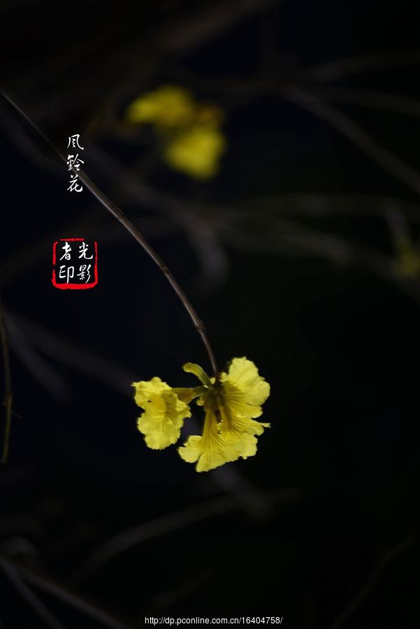 廨紺