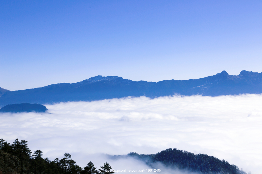 大熊貓棲息地世界自然遺產,二郎山喇叭河自然保護區;海拔從1800米到37