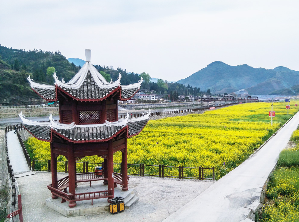 黔东花海—瓦屋乡油菜花