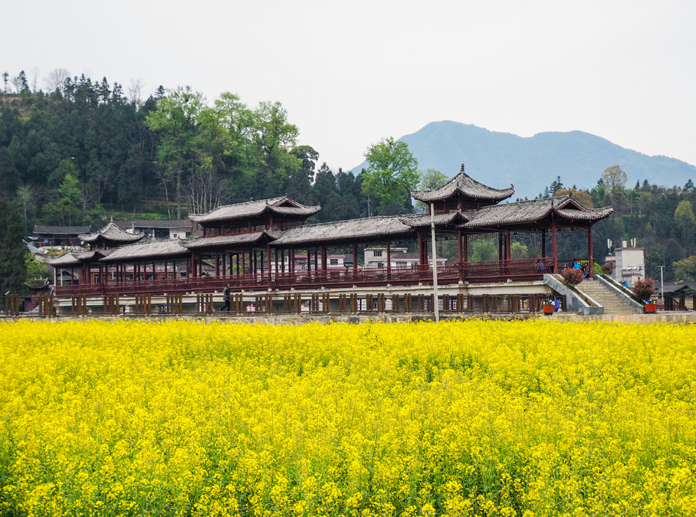 黔东花海—瓦屋乡油菜花