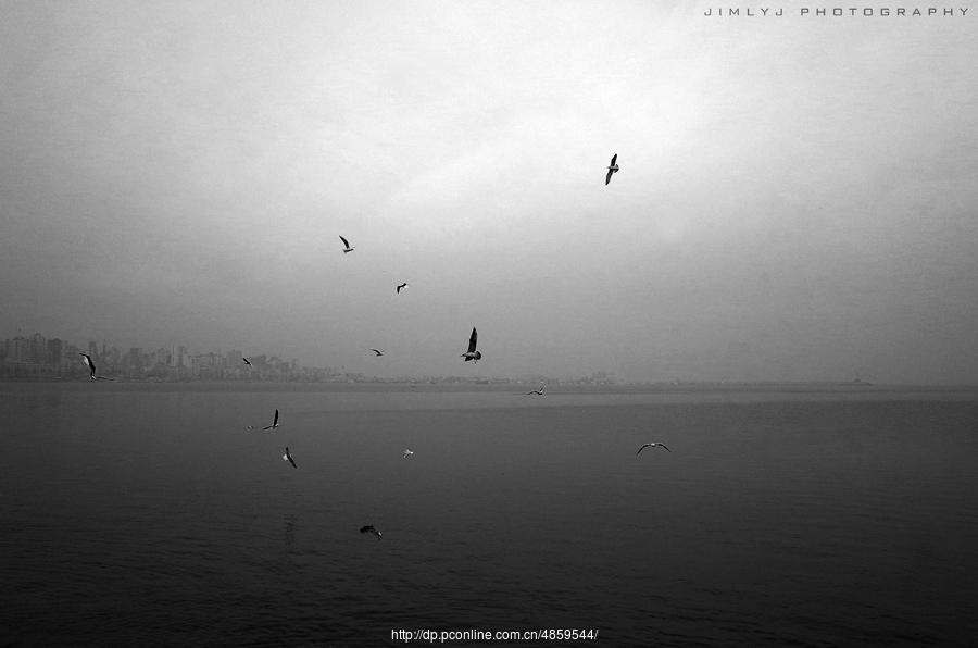 ɽ-кƬ-Ricoh GR