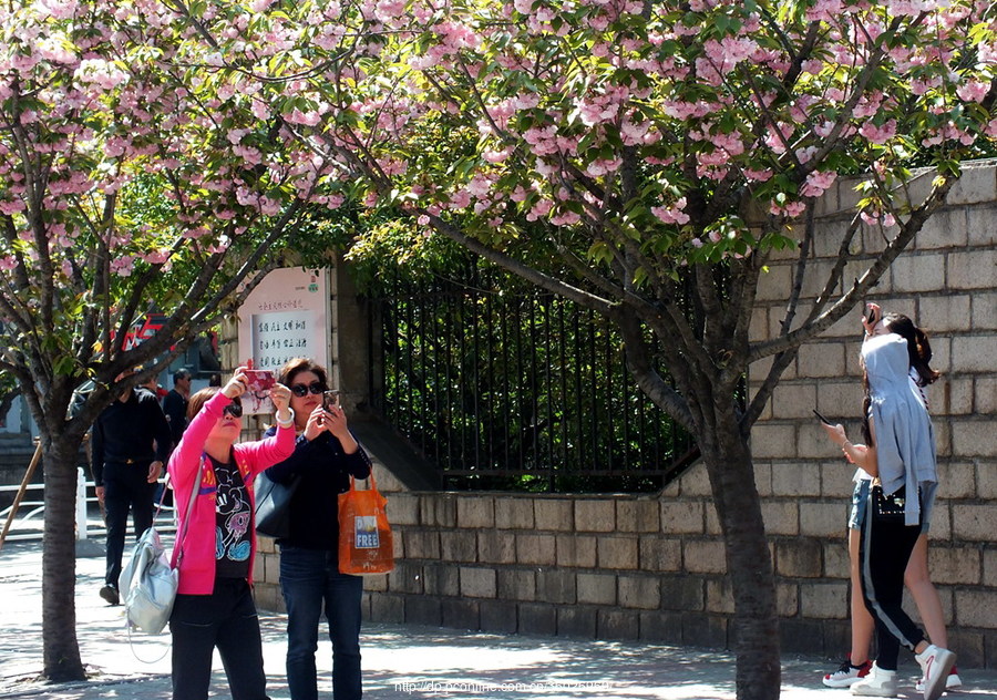 2018Ϻζٻڼʵ