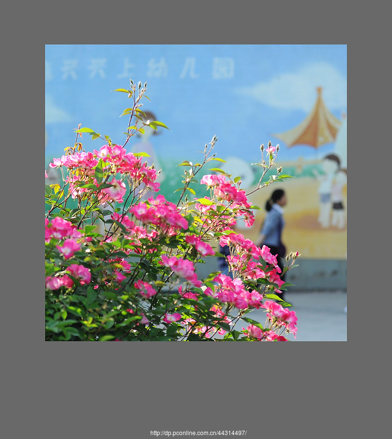 Ǿޱӭ