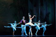 芭蕾舞剧：《 天鹅湖 》 2
