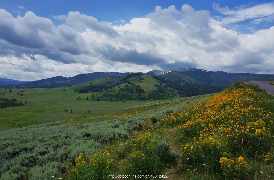 Yellowstone National Park (2)