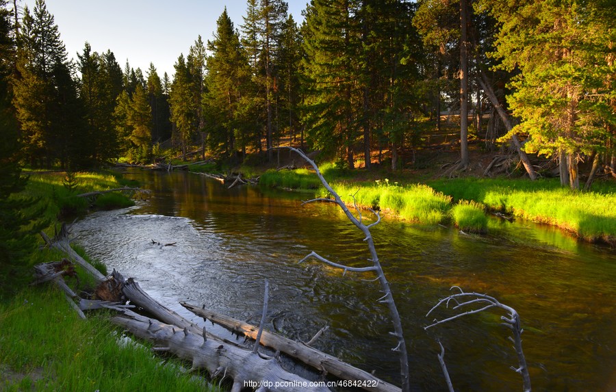 Yellowstone National Park (2)