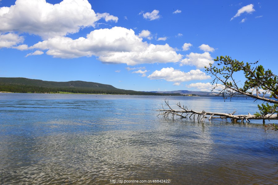 Yellowstone National Park (2)