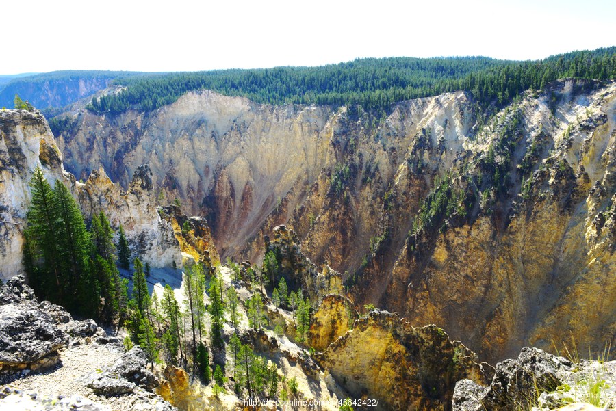 Yellowstone National Park (2)