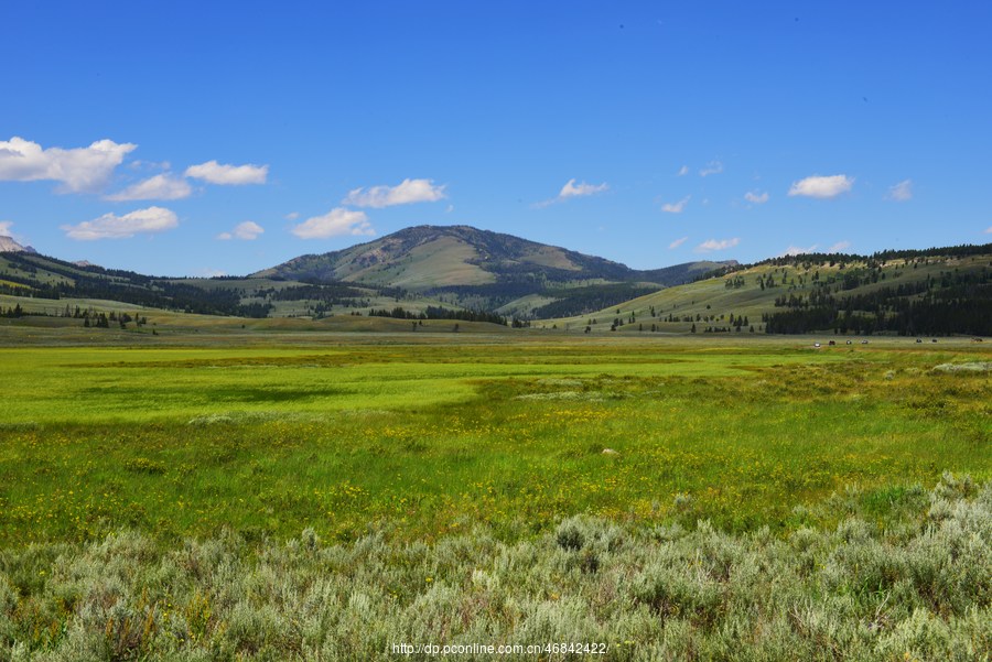 Yellowstone National Park 3