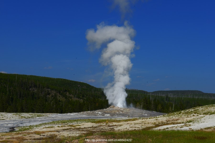 Yellowstone National Park 3