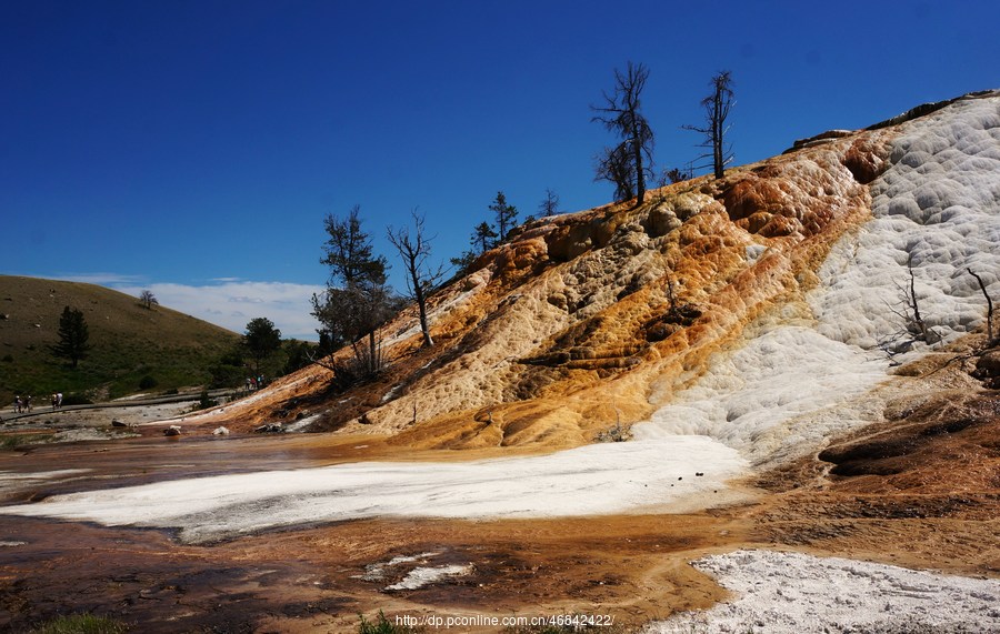 Yellowstone National Park 3