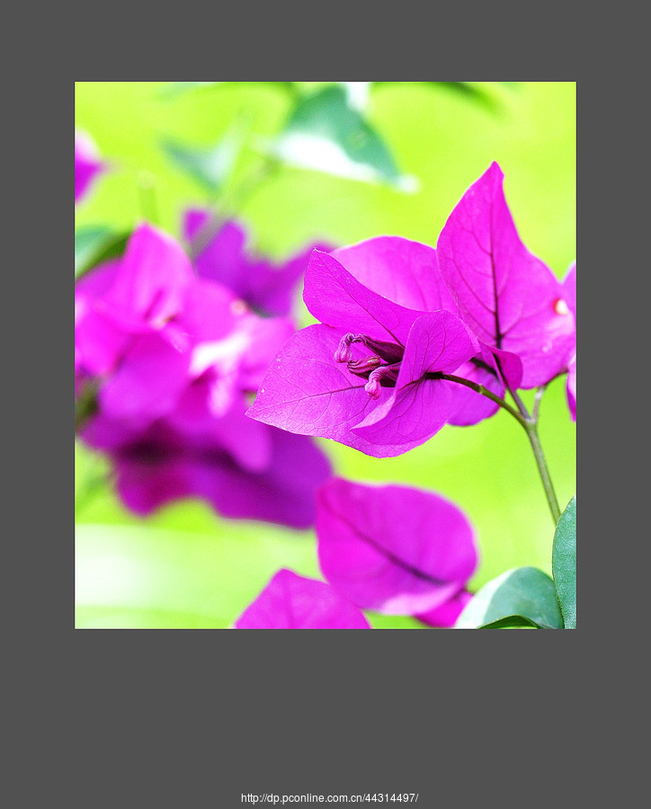 ÷