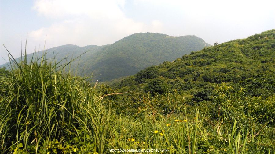 漫步黃荊山