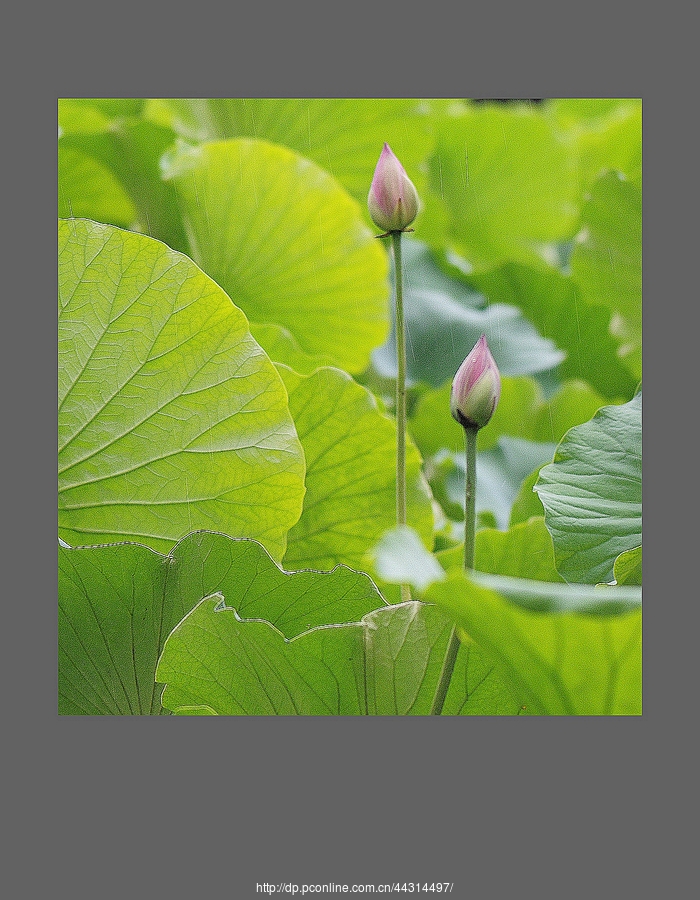 ɻʢ
