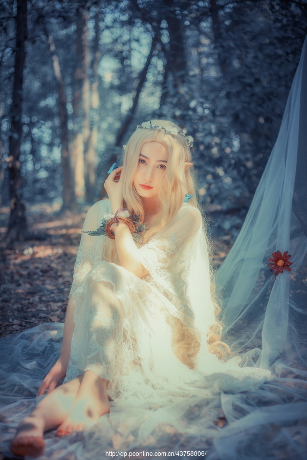 《Elves in the forest》