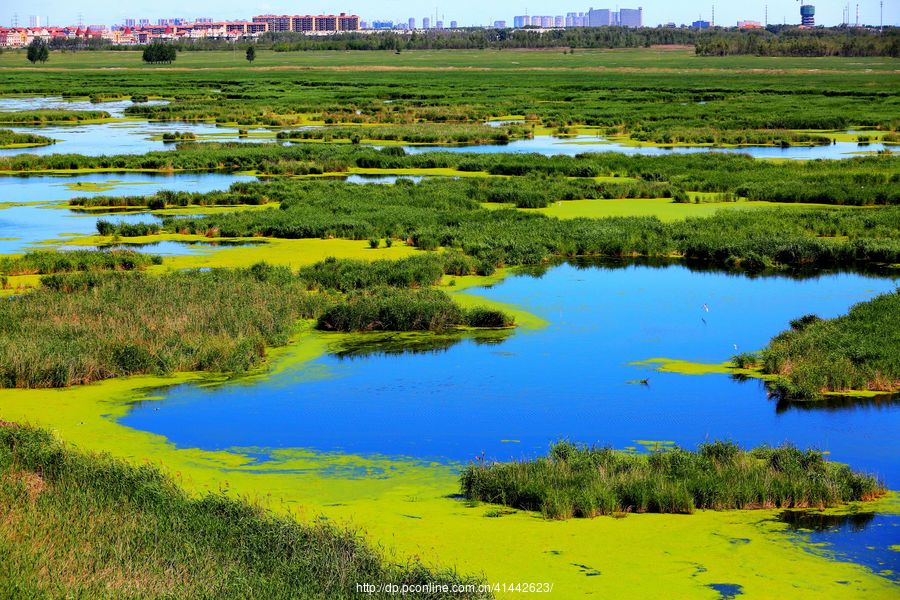 安达东湖湿地