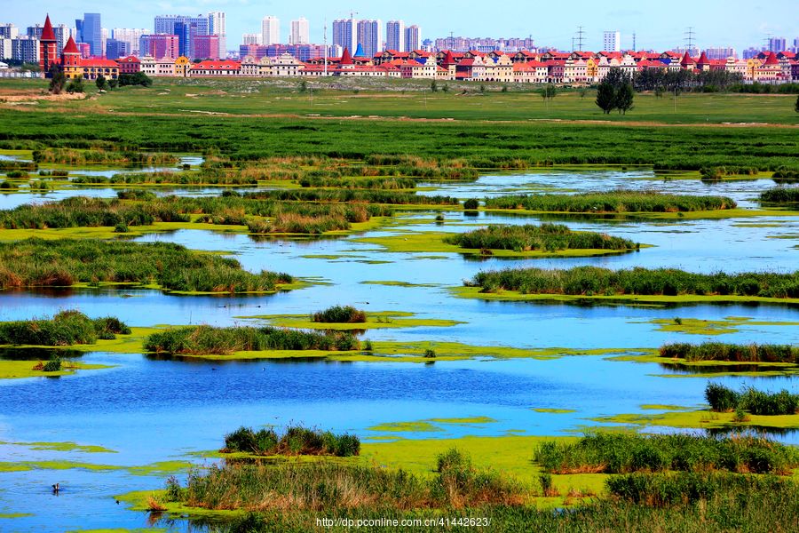 安达东湖湿地