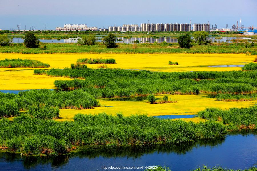 安达东湖湿地